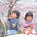 【春分の日とは】2024年は3月20日!由来や過ごし方をご紹介♪