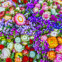 生け花（華道）の基本の生け方・ルール～初心者必見！