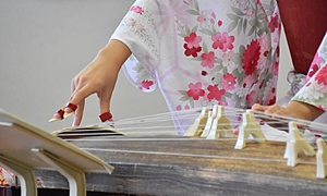 琴とは？箏との違いや魅力、はじめ方をご紹介！