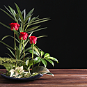 華道（生け花）の資格、お免状とは？流派ごとの種類、段位、費用