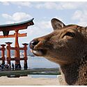 広島県の伝統的工芸品一覧