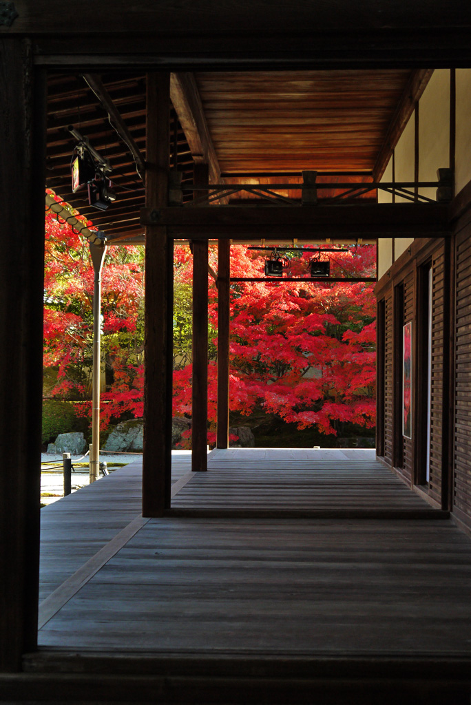 https://photo53.com/nanzenji2.php