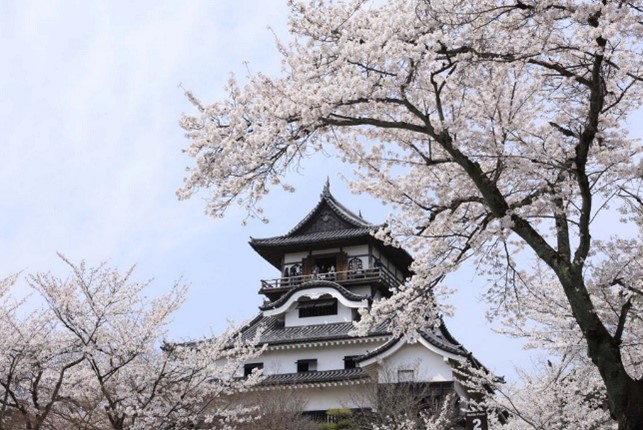 https://inuyama-castle.jp/castle/photos-and-video